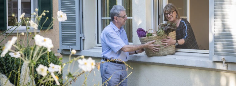 Einkaufskorb Fenster